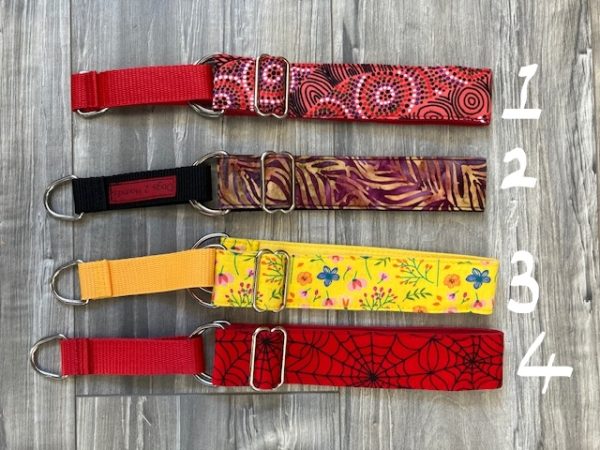 Martingale Collars