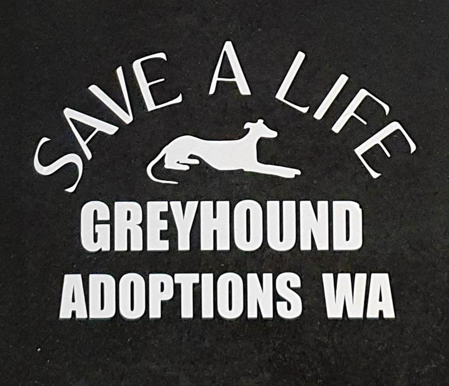 Car Decals - Image 8