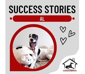 Success Story: Al