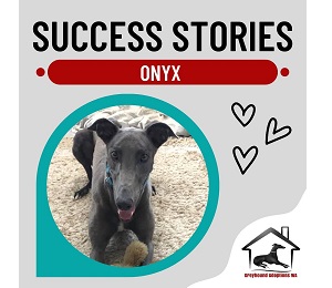 Success Story: Onyx