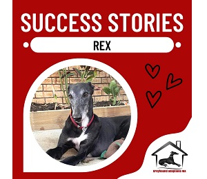 Success Story: Rex