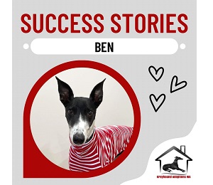 Success Story: Ben