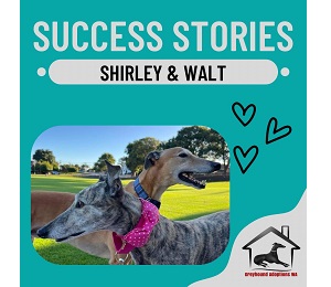 Success Story: Shirley and Walt
