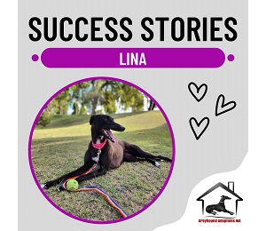 Success Story: Lina