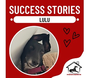 Success Story: Lulu