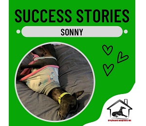 Success Story: Sonny