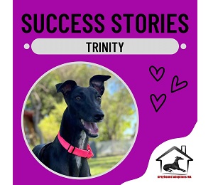 Success Story: Trinity