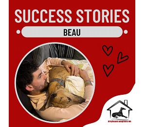 Success Story: Beau