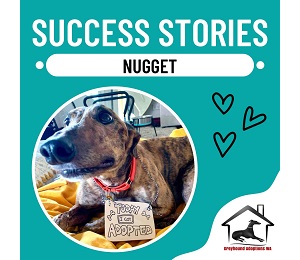 Success Story: Nugget