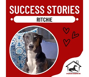Success Story: Ritchie