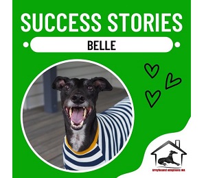 Success Story: Belle