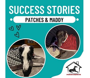 Success Story: Patches and Maddy
