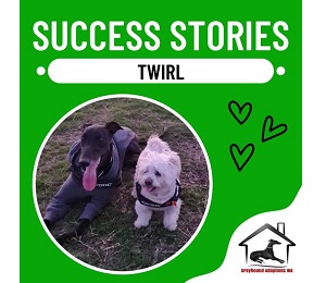 Success Story: Twirl