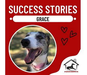 Success Story: Grace