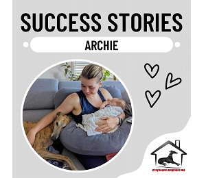 Success Story: Archie