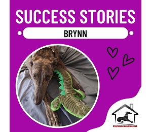 Success Story: Brynn