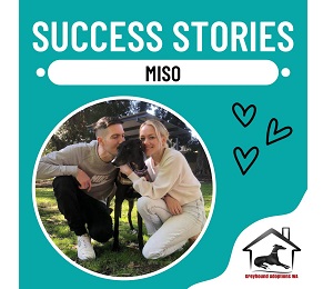 Success Story: Miso