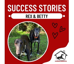 Success Story: Rex and Betty