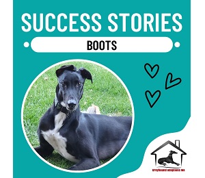 Success Story: Boots