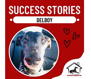 Success Story: DelBoy