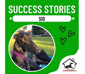 Success Story: Sid