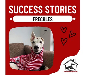 Success Story: Freckles