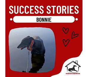 Success Story: Bonnie