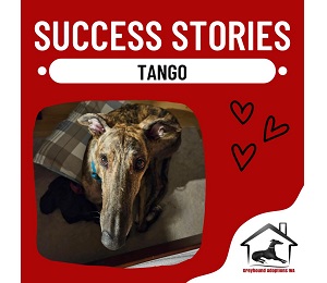 Success Story: Tango