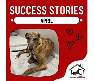Success Story: April