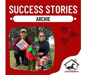 Success Story: Archie