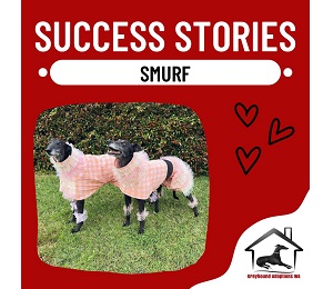 Success story: Smurf