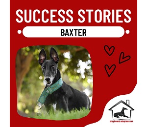 Success Story: Baxter