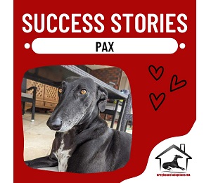 Success Story: Pax