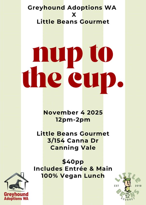 Nup to the Cup Lunch - GAWA x Little Beans Gourmet
