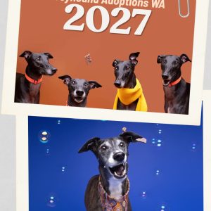 2027 GAWA Calendar