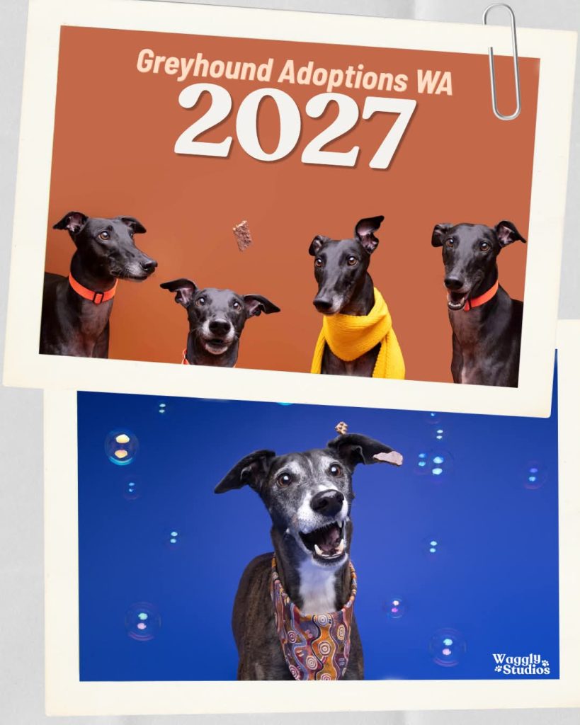 2027 GAWA Calendar